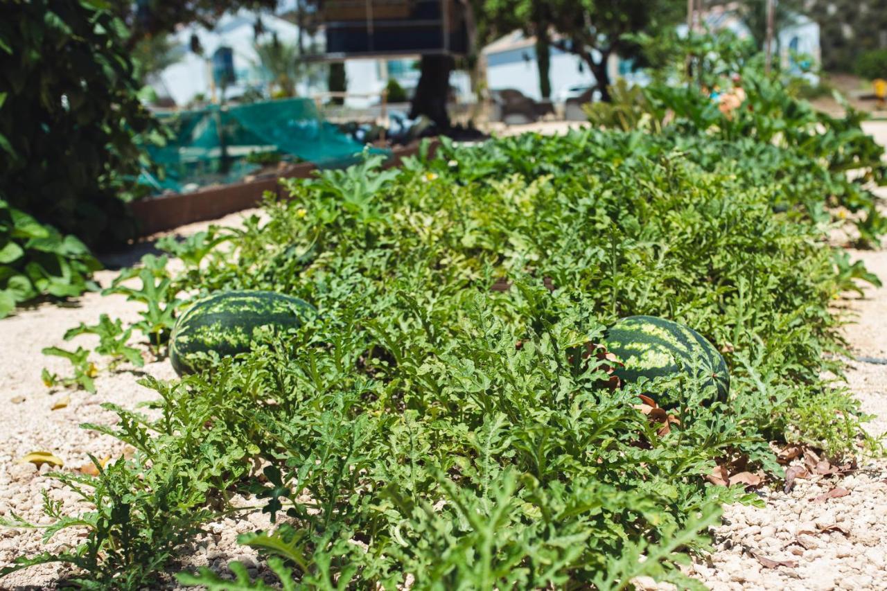 Caprice Spa Kosher Resort Νέο Χωριό Εξωτερικό φωτογραφία